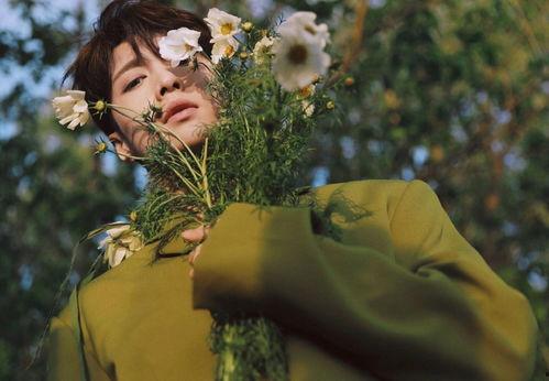 娱乐圈吃瓜封面图片大全