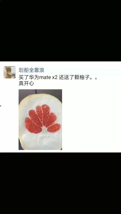 国产肉视频