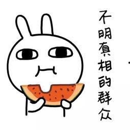 娱乐吃瓜酱找工作,跨界求职，开启新篇章